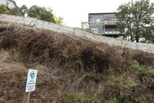 Hazel-rvr Vw-ac-ht-4br/2.5b