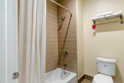 Hotel Econo Lodge Inn & Suites Houston Willowbrook