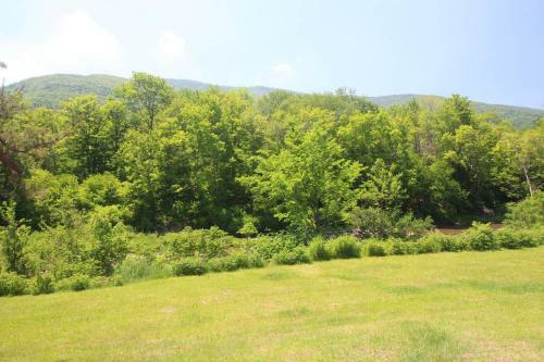 Hotel Hunter Mountain Resort