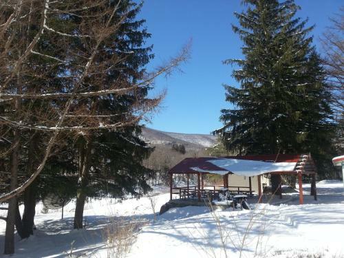 Hotel Hunter Mountain Resort