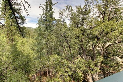 Mountain Getaway In The Pines
