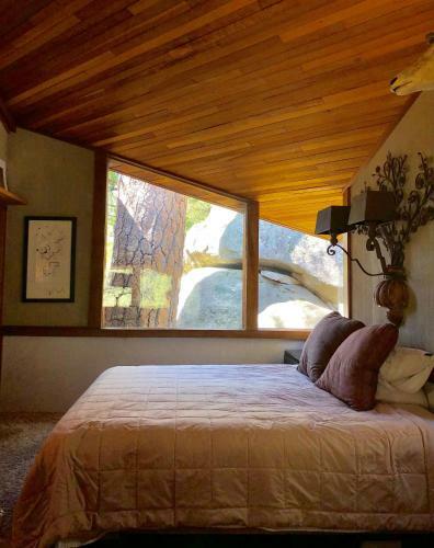Architect's Dream