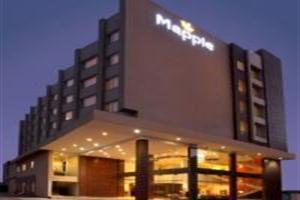 Hotel Mapple Adhwryou Pune
