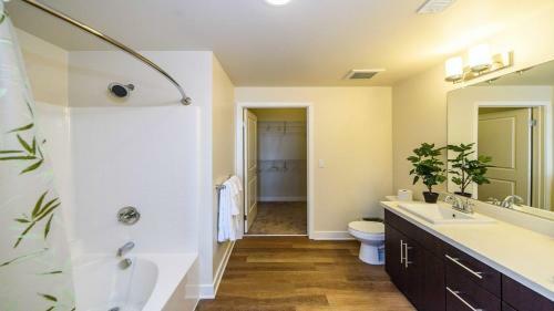 Mcgaw Apartment #873930 Apts