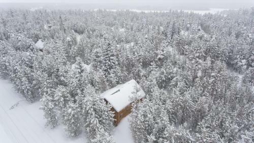 Hidden Pines