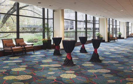 Hotel Doubletree Overland Park