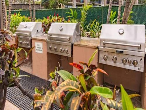 Royal Kahana 1019