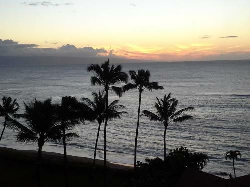 Royal Kahana 912
