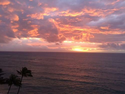 Royal Kahana 912