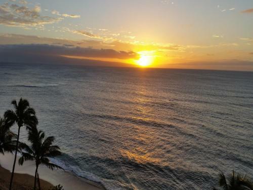 Royal Kahana 912