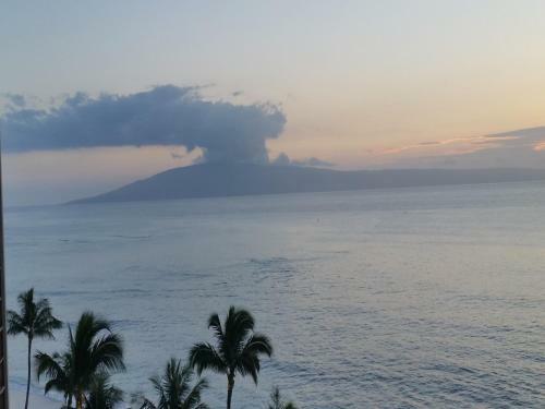 Royal Kahana 912