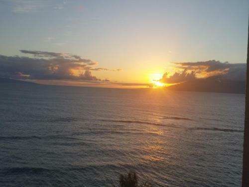Royal Kahana 912