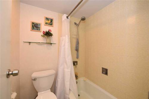 Valley Isle Unit 905