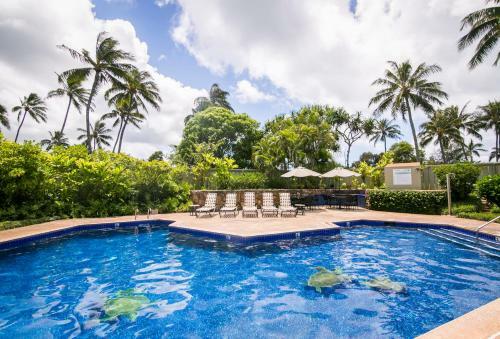 Turtle Bay Condo