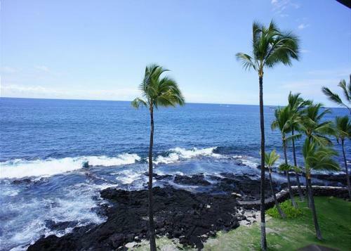 Villa Kona Reef D37