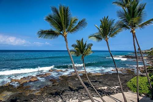 Apartamento Kona Nalu 304 Condo