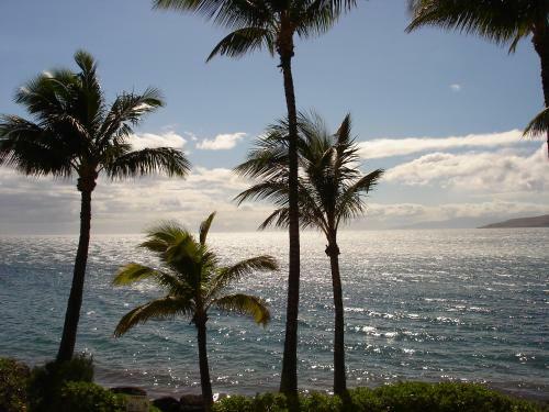 Apartamentos Islander On The Beach Unit 256