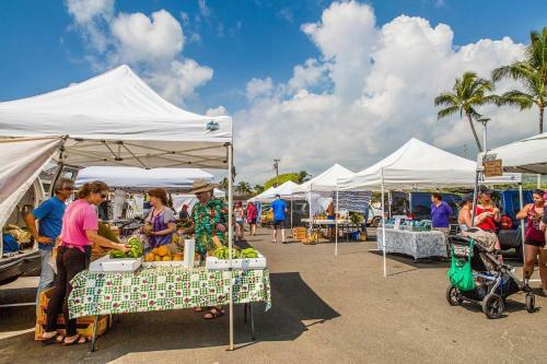 Islander On The Beach #348, Oceanfront