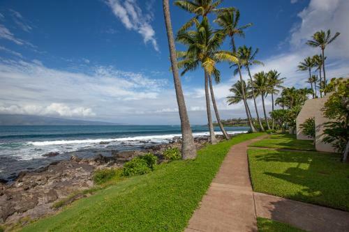 Apartamento Napili Point C25