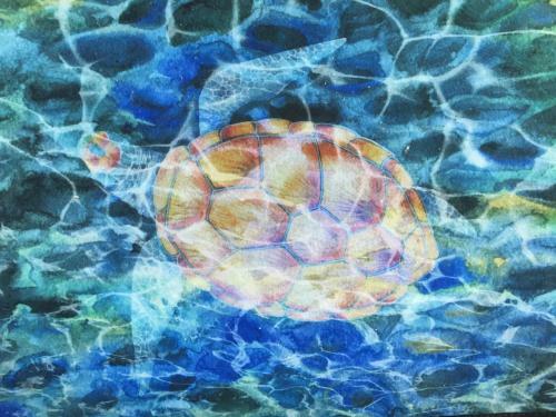 House Of Honu (turtles), Hawai'i