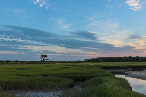 Thisgood Meadows