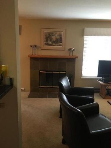 Sun Valley Condo 145