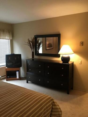 Sun Valley Condo 145