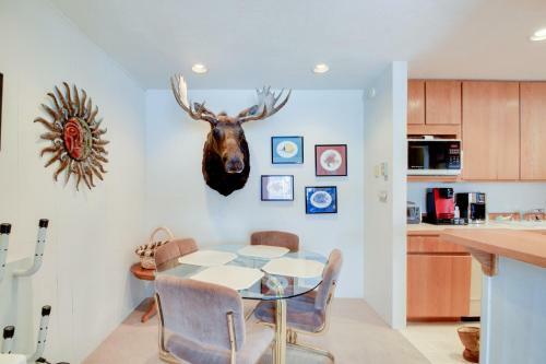 Skiway Condo