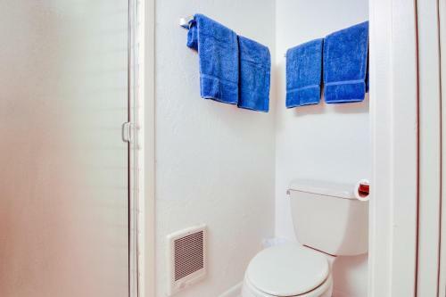 Skiway Condo