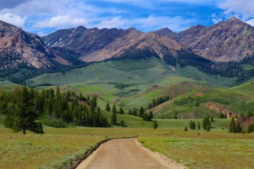 Sun Valley Condo 101