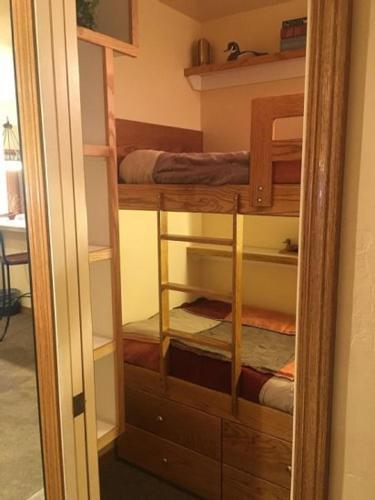Sun Valley Condo 101