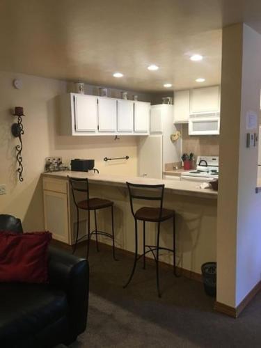 Sun Valley Condo 101