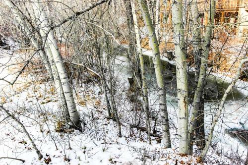 Bridgepoint Condo On Trail Creek