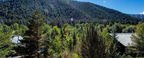 Bridgepoint Condo On Trail Creek