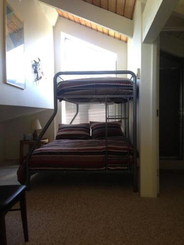 Sun Valley Condo 120