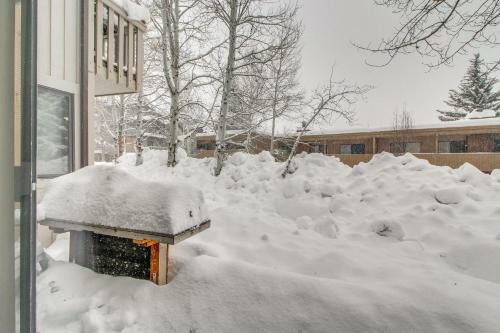 Snow Run Studio