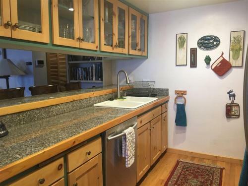 Sun Valley Condo 131