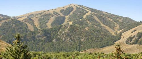 Sun Valley Condo 131