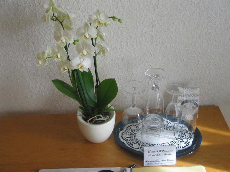 Hotel Adler