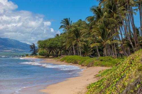 Apartamento Waiohuli Beach Hale #d-118 Condo