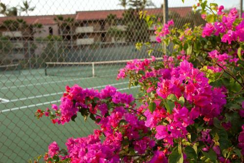 Apartamento Maui Vista #1-206 Condo