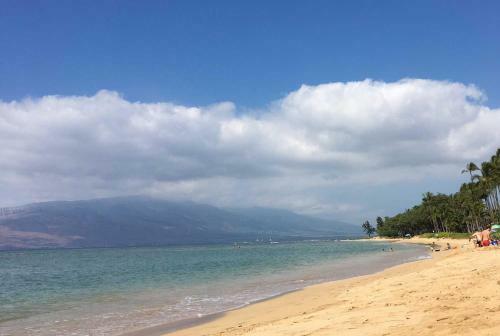 Apartamento Waiohuli Beach Hale #d-124 Condo