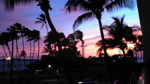 Island Surf 402
