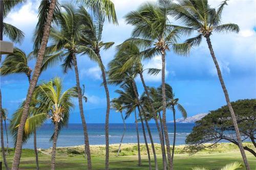 Apartamento Kauhale Makai 527 Condo
