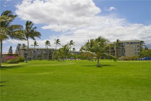 Apartamento Kauhale Makai 527 Condo