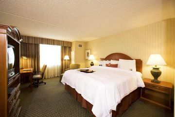 Hotel Hampton Inn Ny-jfk Jamaica-queens