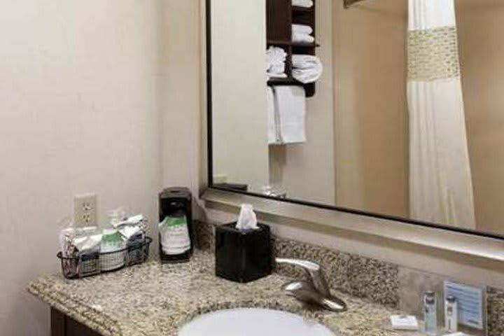 Hotel Hampton Inn & Suites Dallas-arlington-south