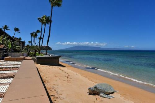 Apartamento Makani Sands Unit 109-1 Bedroom Condo