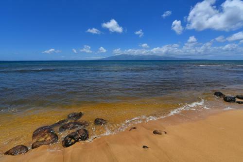 Apartamento Kaanapali Shores 936 Condo