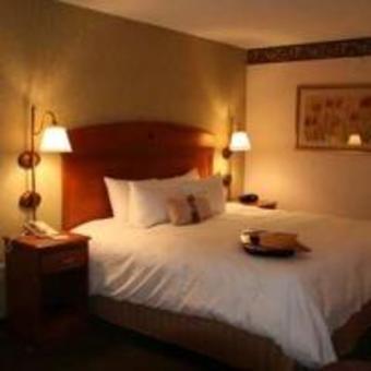 Hotel Hampton Inn Mt. Vernon